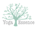 Yoga Essence: 14 S. Washington Avenue