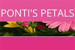 Ponti's Petals